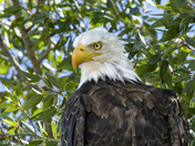 Grand Teton National Park