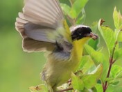 Sachuset Point National Wildlife Refuge