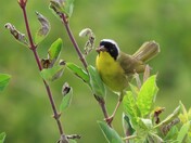 Sachuset Point National Wildlife Refuge