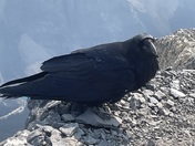 Mount temple Lake Louise Alberta