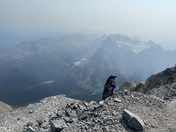 Mount temple Lake Louise Alberta