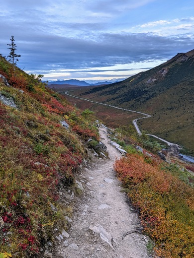 Denali National Park & Preserve