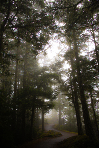 Olympic National Park