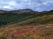 Denali National Park & Preserve