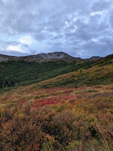 Denali National Park & Preserve