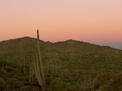 Saguaro National Park West