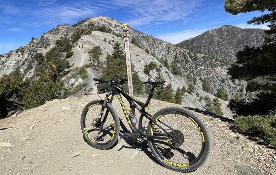 Angeles National Forest