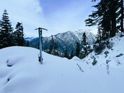 Angeles National Forest