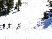 Angeles National Forest