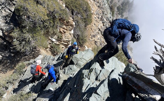 Angeles National Forest