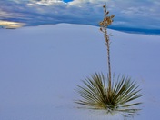 White Sand Dunes, New Mexico