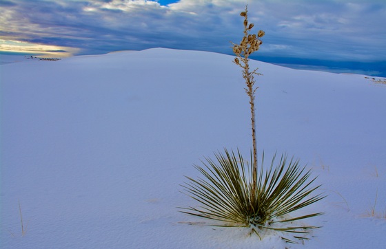 White Sand Dunes, New Mexico