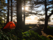 Olympic National Park