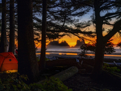 Olympic National Park