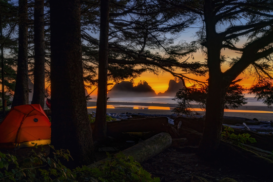 Olympic National Park