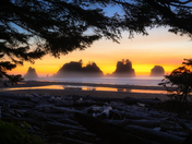 Olympic National Park