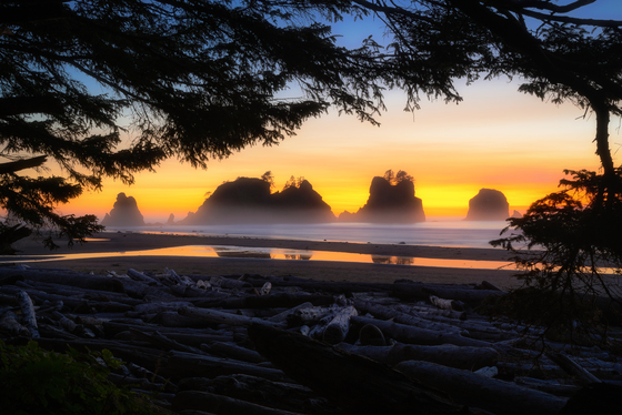 Olympic National Park