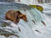 Katmai National Park and Preserve