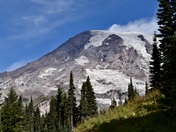 Mt Rainier National Park