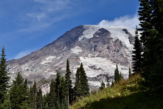 Mt Rainier National Park