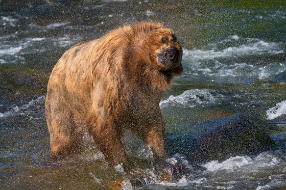 Katmai National Park and Preserve
