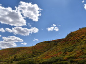 Mesa Verde National Park