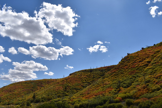 Mesa Verde National Park