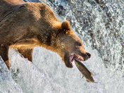 Katmai National Park and Preserve