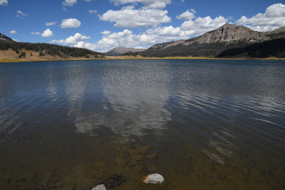 Shoshone National Forest