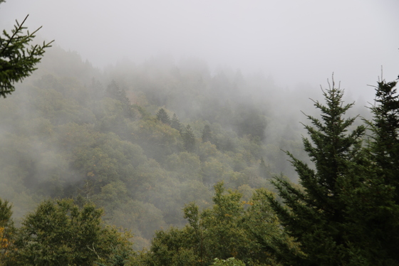 Blue Ridge Parkway
