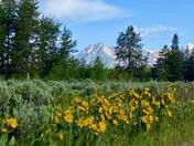 Grand Teton National Park 