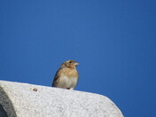 Antietam National Battlefield