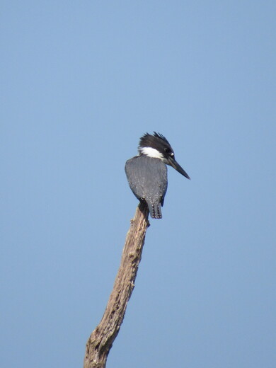 Prime Hook NWR