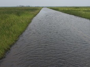 Blackwater NWR