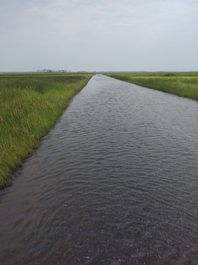 Blackwater NWR
