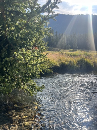 Yellowstone National Park