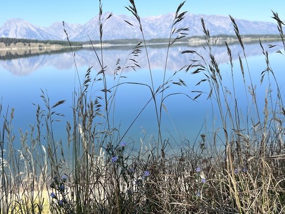 Grand Teton National Park