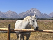 Grand Teton National Park