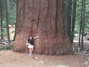 Sequoia and Kings Canyon National Park