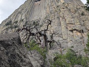 Devil's Tower 