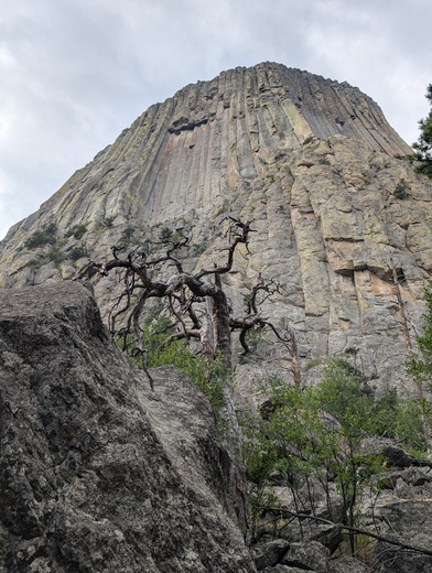Devil's Tower 