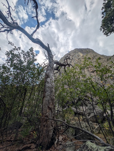 Devil's Tower 