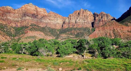 Zion National Park 