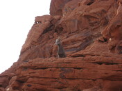 Valley of Fire - Nevada