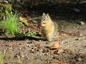 Grand Tetons National Park