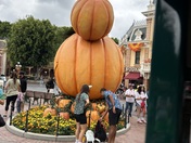 Los Padres National Forest