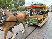 Los Padres National Forest