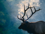 Great Smoky Mountains National Park