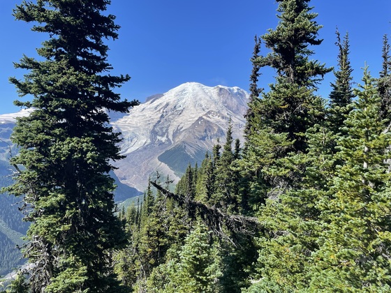 Mount Rainier National Park