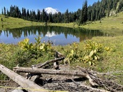 Mount Rainier National Park